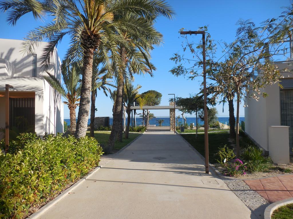 Paradis 18 *